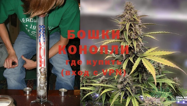бошки Болхов