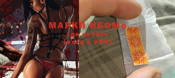сатива Болотное