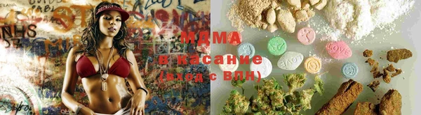 амф Новозыбков