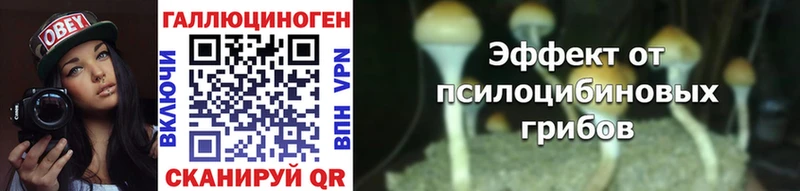 Псилоцибиновые грибы прущие грибы  Камышин 