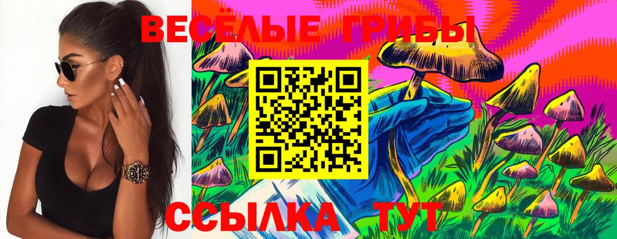 Галлюциногенные грибы мицелий  Вход с VPN  Камышин 