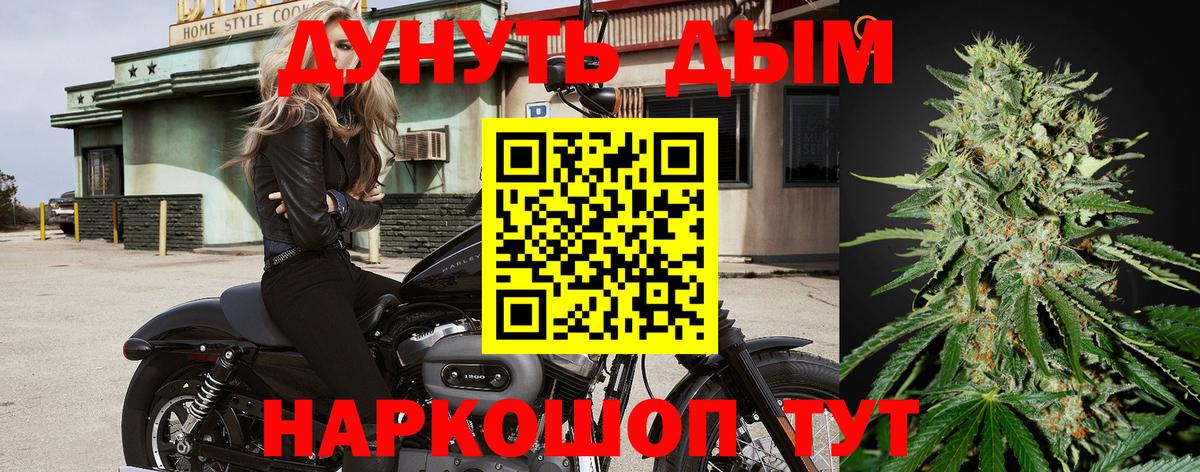 Шишки марихуана планчик Камышин